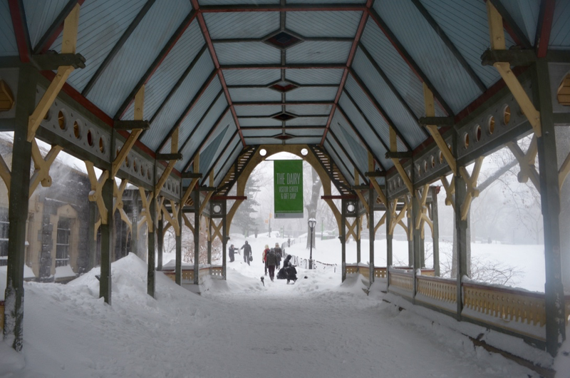Illustration for article titled On the Ground in New York During a Blizzard